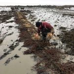 En vue de la prochaine saison de pêche