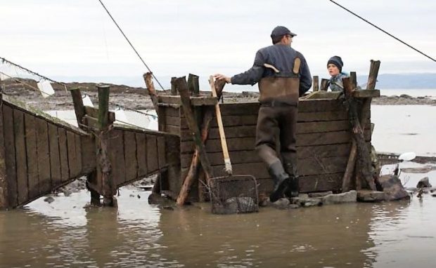 Sur la rive du fleuve, un pêcheur et un jeune garçon s’apprêtent à ouvrir un coffre en bois dans lequel des anguilles sont captives. On voit deux entonnoirs de bois placés bout à bout reliés au coffre et guidant les anguilles dans celui-ci. 