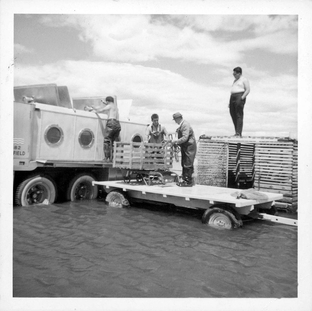 Camion-citerne pour le transport du poisson vivant, doté de hublots et de trappes sur le dessus de la citerne. Le camion est dans l'eau jusqu'aux essieux. Un homme est grimpé sur le côté du camion et regarde dans une des trappes, deux autres sont tout près debout sur une remorque, un quatrième est debout sur le coffre à anguille qui est très grand et regarde la scène; photo noir et blanc.