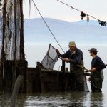 La tournée des coffres de pêche au 21e siècle chez Simon Beaulieu à Rivière-Ouelle