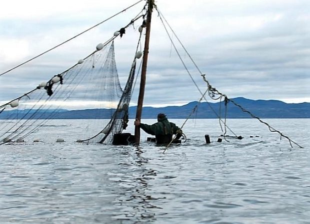 Un homme, dans l'eau jusqu'à la taille et dos au photographe, se tient à un poteau auquel est attaché un filet de pêche.
