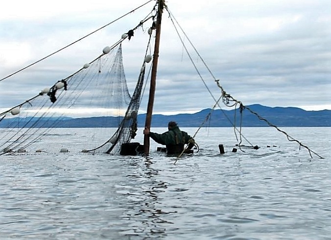 Un homme, dans l'eau jusqu'à la taille et dos au photographe, se tient à un poteau auquel est attaché un filet de pêche.