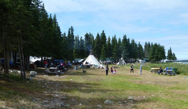 Sur une île, des épinettes entourent les tipis et les gens dans une prairie.