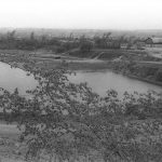 La nature reprend ses droits