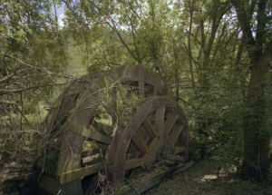 Grande roue en bois dans la forêt