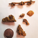 Pépites d’or du ranch Patenaude