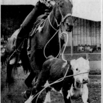Percy Minnabarriet, champion de la capture au lasso