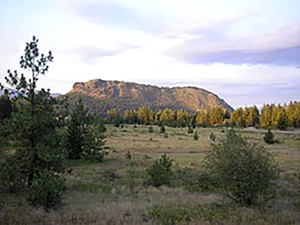 Prairie with mountain at back