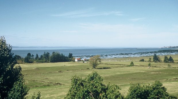 Photographie couleur de champs agricoles le long du fleuve St-Laurent (à Rivière- du-Loup), bordés d’une rangée d’arbres près desquels on aperçoit deux bâtiments en bois en arrière-plan.