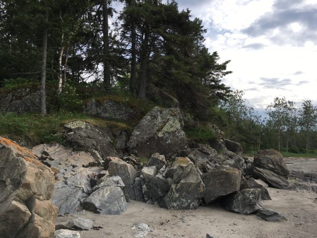 Une photo couleur d’une plage ne montrant pas son plan d’eau; à gauche, un escarpement rocheux parsemé d’épinettes et de pins; au centre, de gros rochers carrés qui semblent s’être déposés sous l’action des eaux glacières. En avant-plan à droite, une berge de sable sur terrain plat parsemée de dépôts d'algues séchées, de brindilles et de coquillages, suggérant que la marée a façonné le paysage qui nous apparait sous un ciel lumineux.