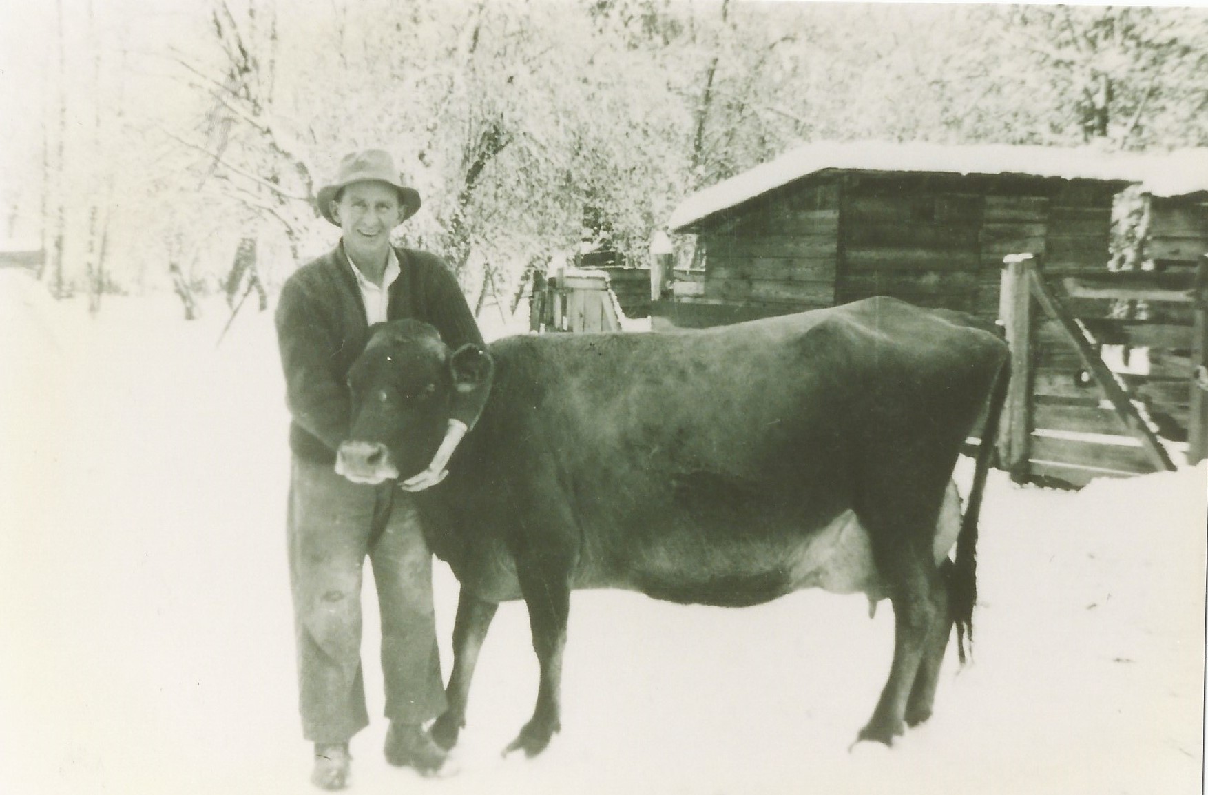 Un homme sourit et prend une vache dans les bras. C’est l’hiver et les arbres sont couvertes de neige. Il y a une clôture en bois et une étable à proximité de l’homme.