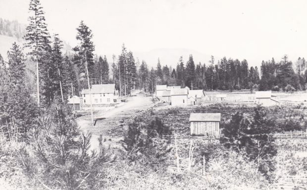 Il y a des logements bruts dans une forêt. Il y a un chemin de terre et des clôtures brutes. Le sol est couvert de déchets et de broussailles. 