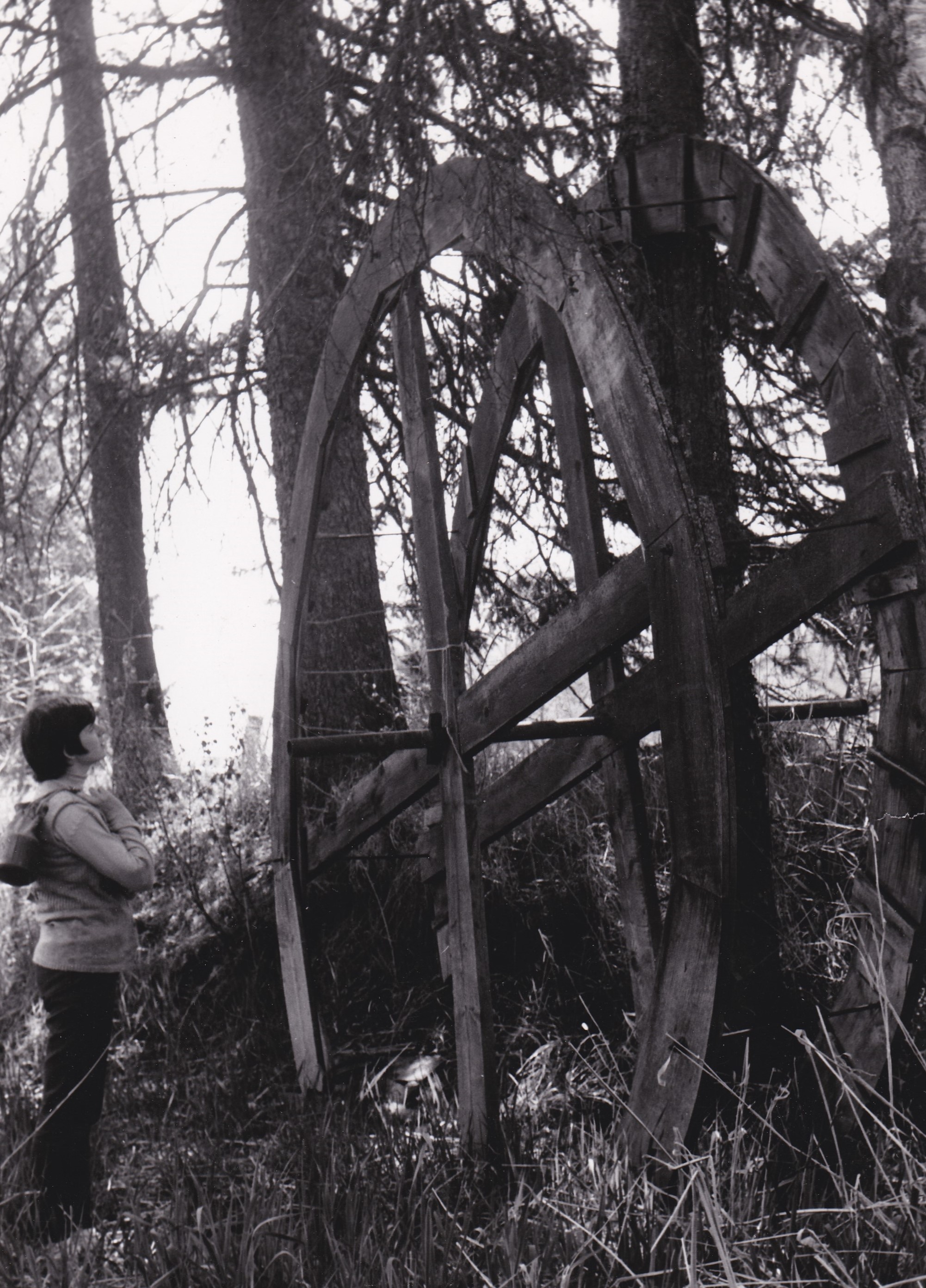 Une femme regarde les vestiges d’une roue à aubes en bois. Des herbes hautes et des arbres ont poussé autour de la roue à aubes.