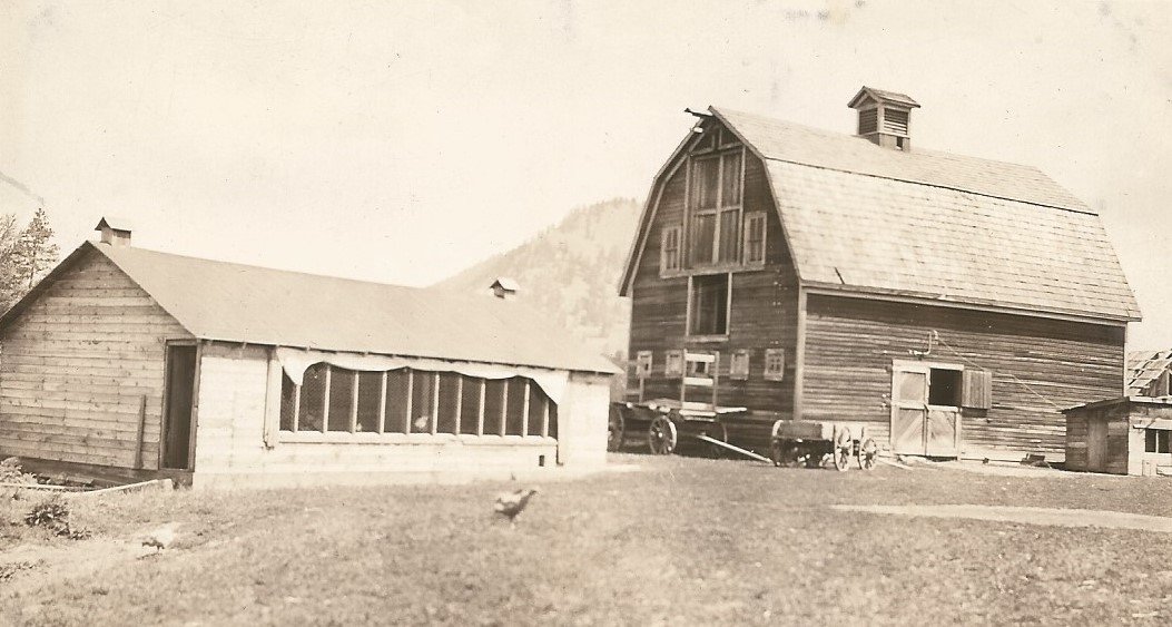 Deux wagons sont devant une grosse étable en bois. À la droite il y a un poulailler en bois avec des poules devant le poulailler.