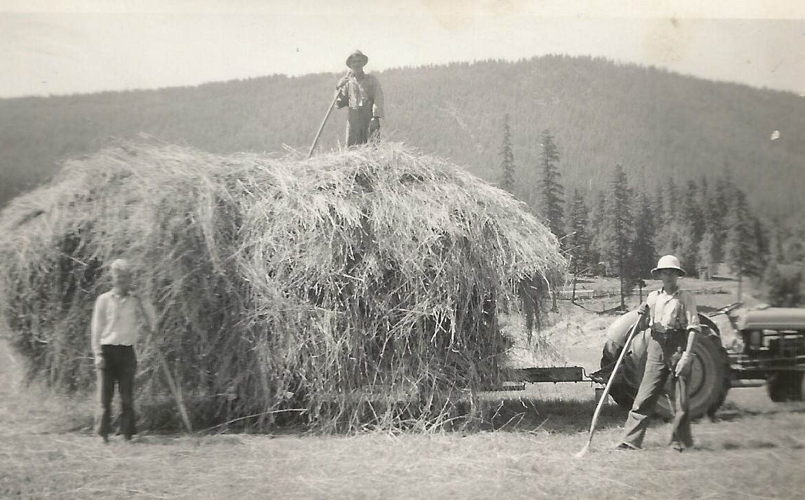 Un homme est debout sur une pile de foin. Un wagon tiré par un vieux tracteur est chargé de foin. Deux hommes avec des râteaux sont debout devant le wagon.