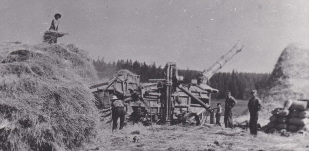 Des hommes et un garçon s’en servent d’une batteuse pour récolter du grain. Il y a une grosse pile de paille à chaque côté de la batteuse. Il y a une pile de sac de grain près de la batteuse.