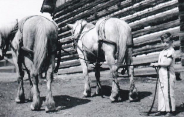 Un garçon tient les rênes de deux chevaux Percheron. Le garçon et les chevaux sont devant un bâtiment en bois.