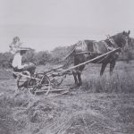 Fenaison hippomobile