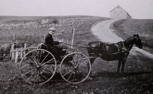 Vue de droite d’un homme dans un boghei et de son cheval, arrêtés au pied d’un chemin de ferme