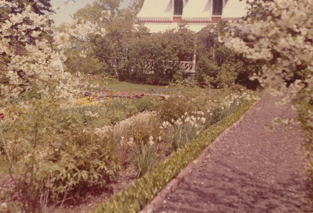 Photo couleur. Jardin fleuri avec une maison en arrière-plan.