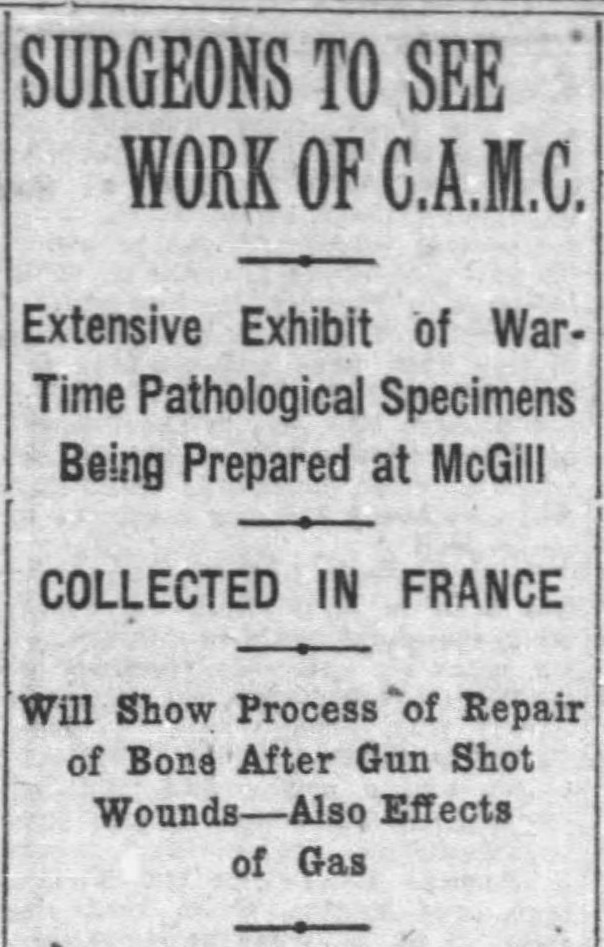 Coupure de journal anglophone en noir et blanc annonçant l'exposition « War-Time Pathological Specimens Being Prepared at McGill » (Spécimens médicaux de guerre en cours de préparation à McGill).