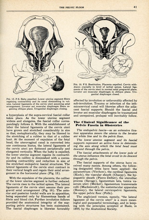 Page de journal jaunie illustrée, contenant des dessins au trait noir en haut, et du texte dactylographié au bas.