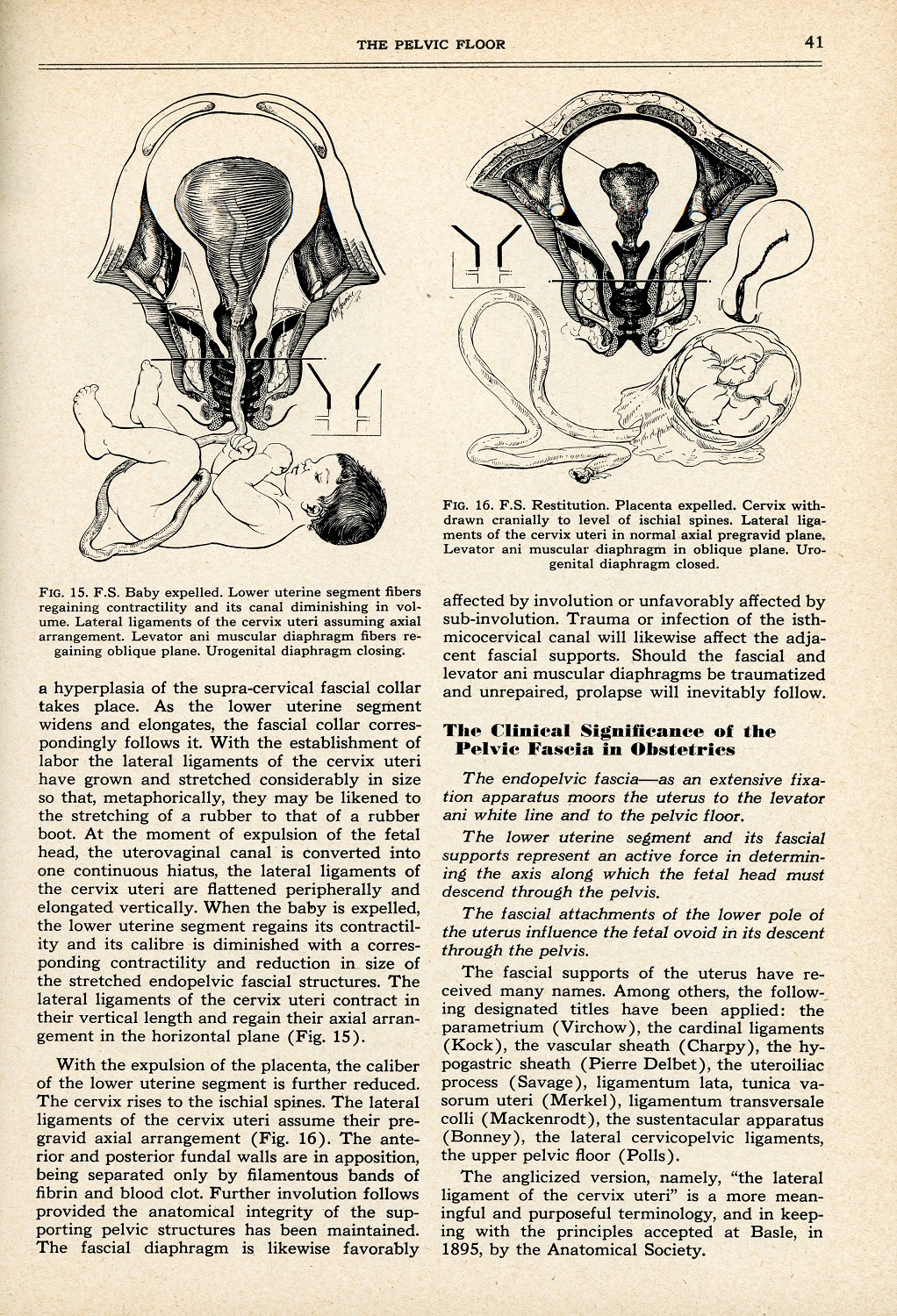 Page de journal jaunie illustrée, contenant des dessins au trait noir en haut, et du texte dactylographié au bas. 