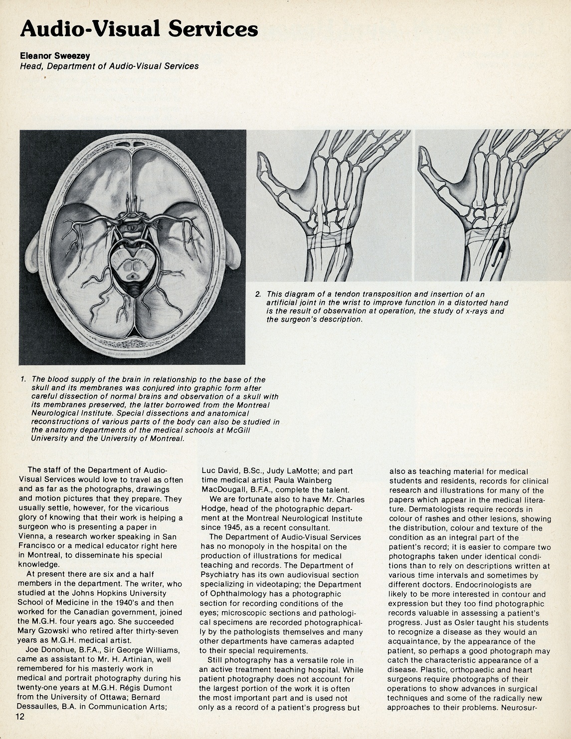 Page en noir et blanc tirée d'un bulletin d'information intitulé « Services audiovisuels d'Eleanor Sweeze », comprenant des illustrations de la base du crâne et des os de la main. 