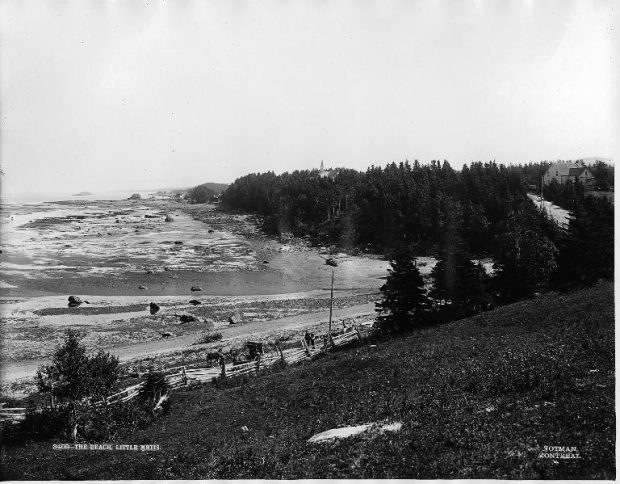 Sur le côté gauche de l’image, on aperçoit la plage à marée basse. À droite, une forêt dense d’épinettes s’élève au-dessus du rivage du fleuve Saint-Laurent.