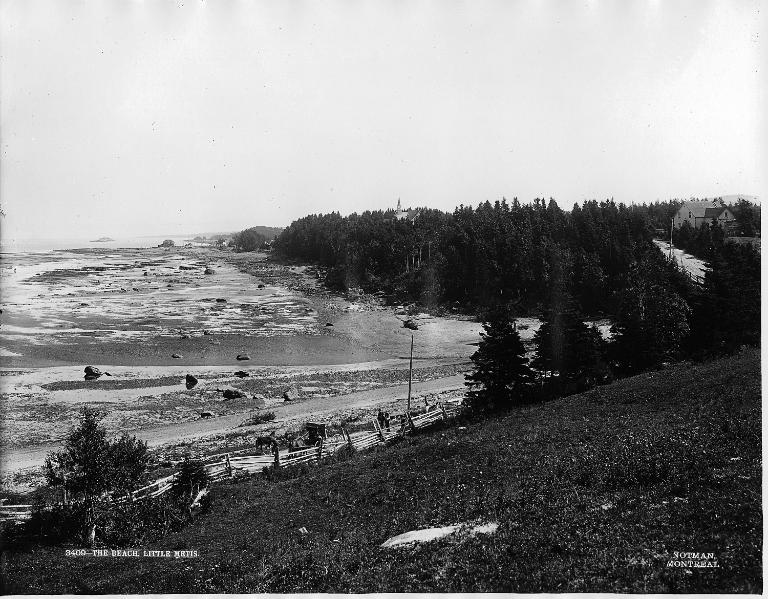 Sur le côté gauche de l’image, on aperçoit la plage à marée basse. À droite, une forêt dense d’épinettes s’élève au-dessus du rivage du fleuve Saint-Laurent.