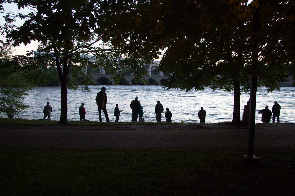 Une rangée de silhouettes de pêcheurs sur le rivage de l'île de Montréal en fin de journée. Ils sont postés au pied de la centrale hydroélectrique de la rivière des Prairies visible en arrière-plan. Ils espèrent faire de belles prises lors du retour de l'alose savoureuse, un poisson qu’ils apprécient.