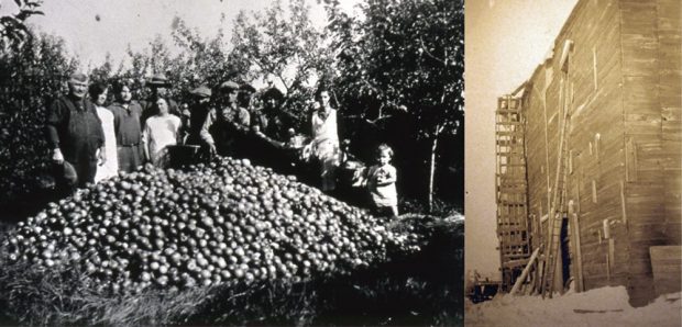 Montage de deux photos d’archives. À gauche, des familles derrière une très grosse pile de pommes. À droite, une section du bâtiment de la glacière sur l’île de la Visitation.