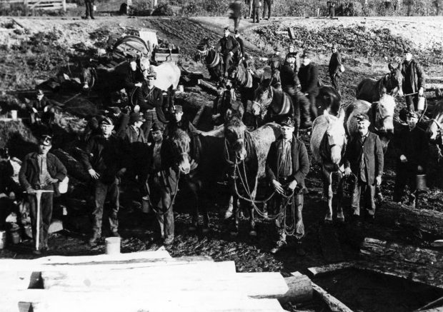 Photo en noir et blanc d'un groupe d'hommes, certains tenant des mulets par les rênes, debout, regardant en direction de l'appareil photo.
