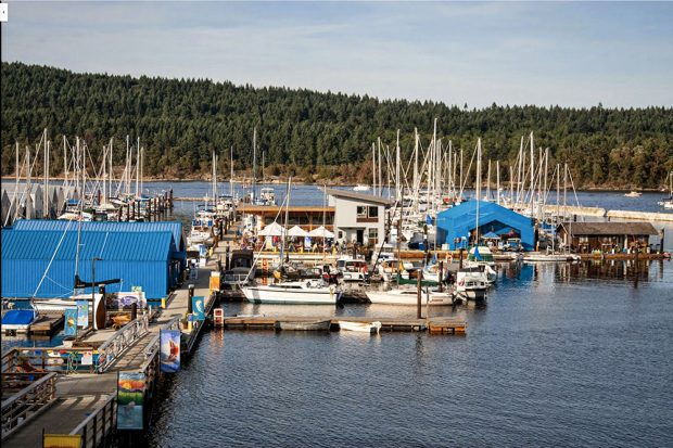 Photographie en couleur de nombreux bateaux de plaisance, à moteur et à voile, amarrés à un complexe de quais flottants.