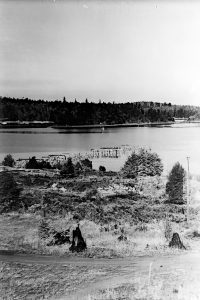 Photographie en noir et blanc, avec, au premier plan, une rive négligée couverte de broussailles bordant un plan d'eau, où s'étendent les pilotis d'un quai abandonné. Des îles boisées et des collines dessinent la rive opposée.