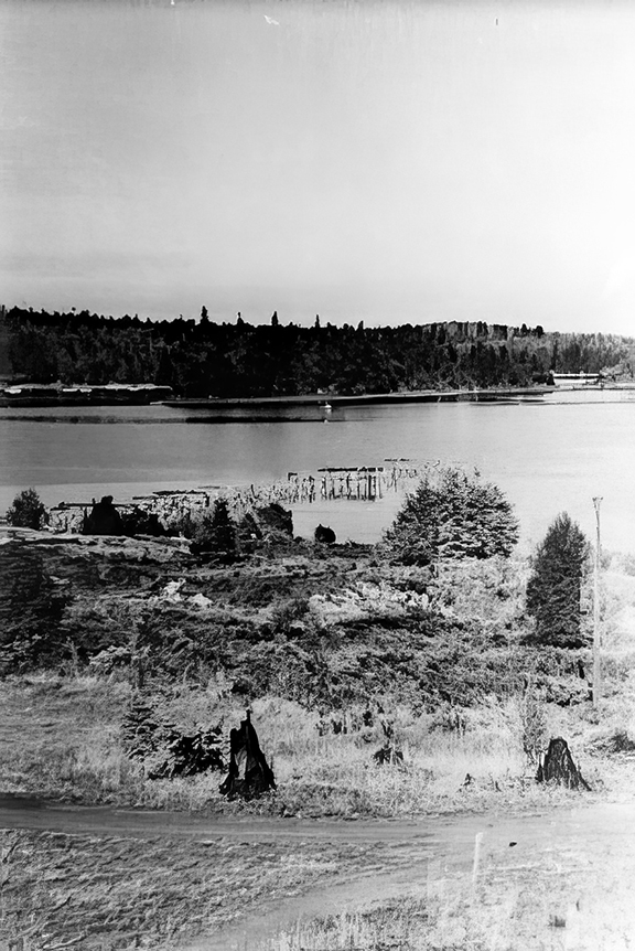 Photographie en noir et blanc, avec, au premier plan, une rive négligée couverte de broussailles bordant un plan d'eau, où s'étendent les pilotis d'un quai abandonné. Des îles boisées et des collines dessinent la rive opposée.