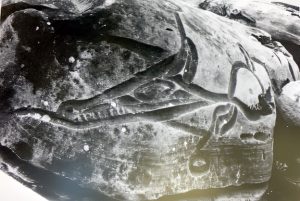 Photo en noir et blanc d'un rocher de grès sculpté représentant la silhouette latérale bidimensionnelle stylisée d'une créature mythique, avec une tête triangulaire composée d'un long museau, de dents saillantes, d'un grand œil et d'une oreille pointue, reliée à un corps circulaire d'où dépasse une jambe avant stylisée et une queue pointue dressée à l'arrière.