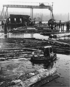 Un « bateau dozer » manipule les billots de bois dans les zones de bouillage du port de Ladysmith. Le pont roulant à l'arrière-plan charge des grumes sur une barge à destination des scieries situées sur le continent de la Colombie-Britannique, en 1983.