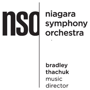 Le logo de NSO 2016