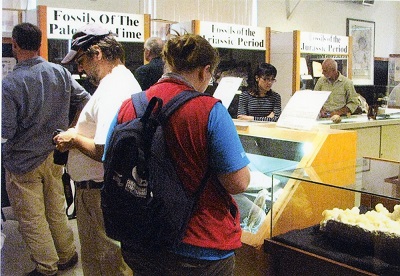 Un groupe de personnes en train d’examiner diverses expositions au musée.