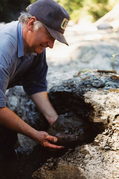 Graham Beard qui dégage un fossile d’une crevasse artificielle dans le rocher devant lui. 