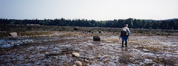 Graham Beard au bord de la mer à marée basse, une forêt à l'arrière-plan.
