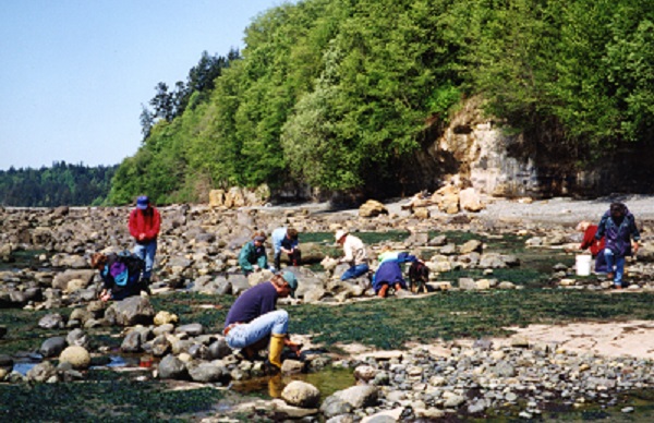 Un groupe de personnes dispersées sur une plage ensoleillée au sud de l'Île de Vancouver