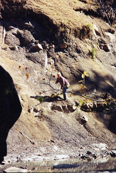 Graham Beard, sur une rive escarpée, située dans une formation rocheuse contenant des fossiles, dans la vallée de Comox.