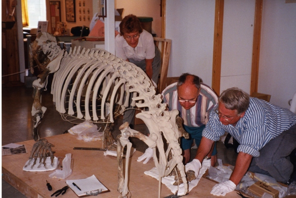 Vue arrière de Rosie, à l’intérieur du Musée de Qualicum Beach. Trois personnes sont accroupies à sa droite.