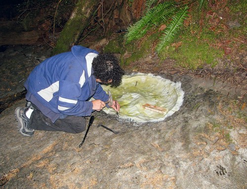 Bartlett accroupi devant l'empreinte de l’ammonite, des outils autour de lui.