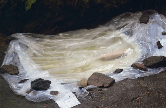 Moule d’un fossile d’ammonite recouvert d’un plastique ancré par des roches.