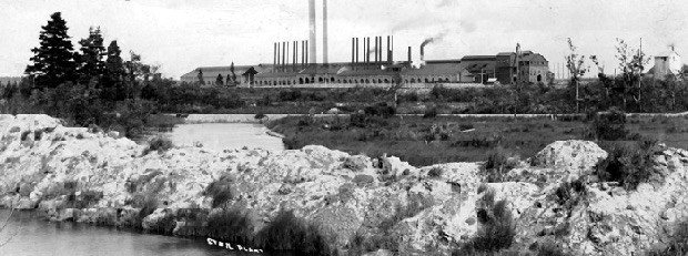 Vue de l'aciérie avec ses cheminées en arrière plan. Arbustes en face de la Rivière St. Mary en avant plan.