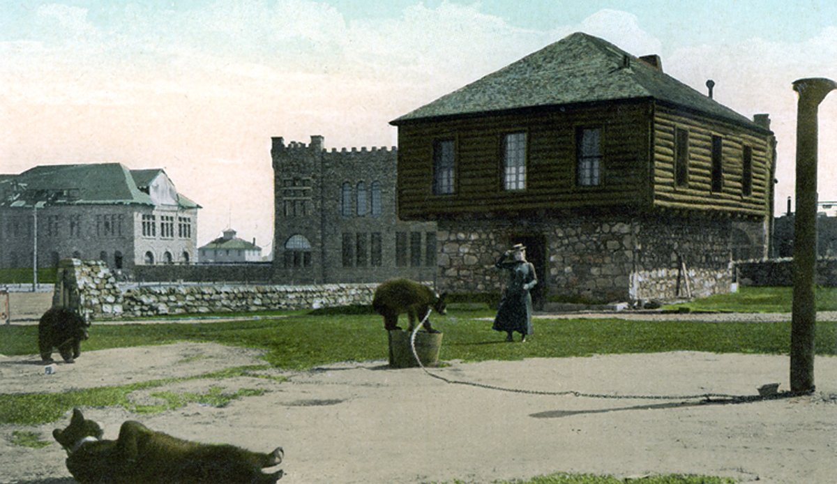 Carte postale du blockhaus avec ses ours enchaînés dans la cour, et une dame portant une robe sortant de la résidence. On aperçoit en arrière plan l'atelier d'usinage.