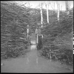 Maurice et Flavius Ouellet